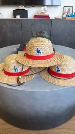 One Piece x Dodger Hats Mint Condition