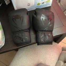 Venom Boxing Gloves