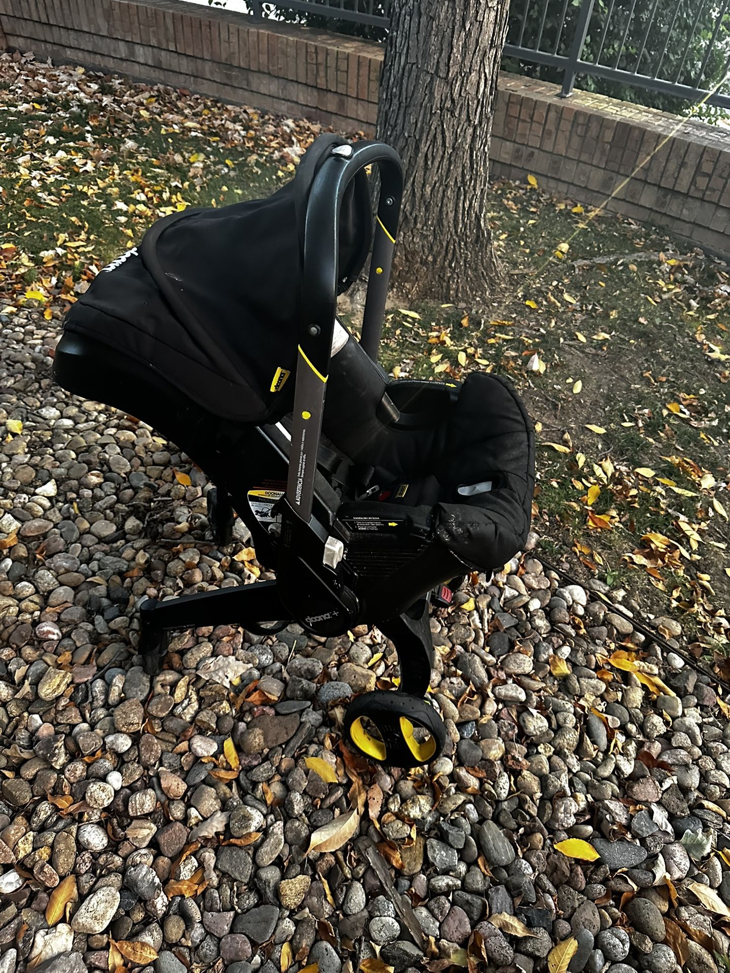 Doona With Two Bases 