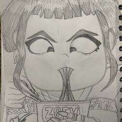 Making custom sketches