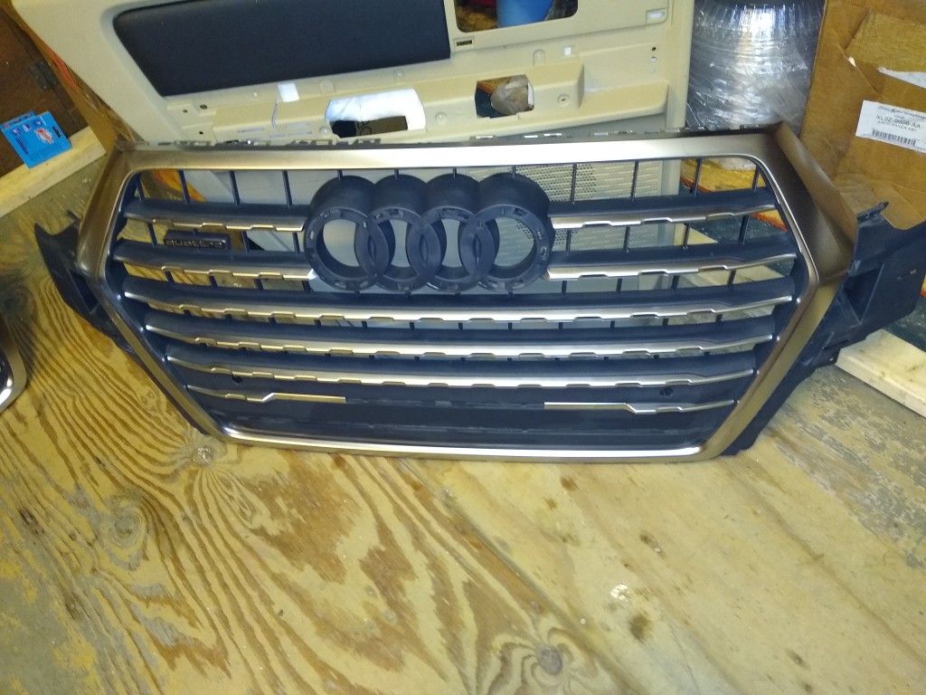 Audi Grill .Not sure which year or bodystyle.