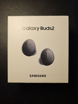Samsung Galaxy Budd2