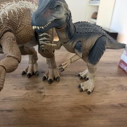 Hammond Collection Dinosaurs 