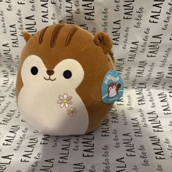 Squirrel Squishmellow