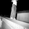 talan 