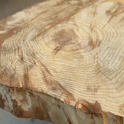 Rustic wood slice, .