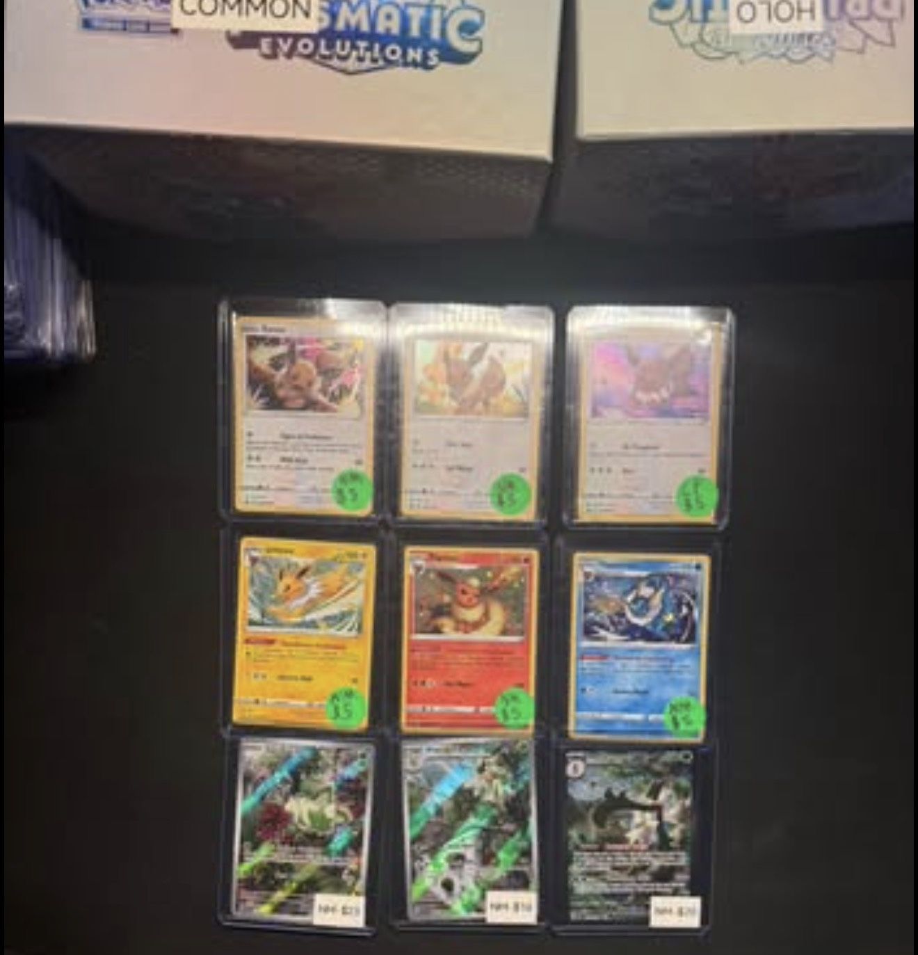 Pokemon Ft/fs