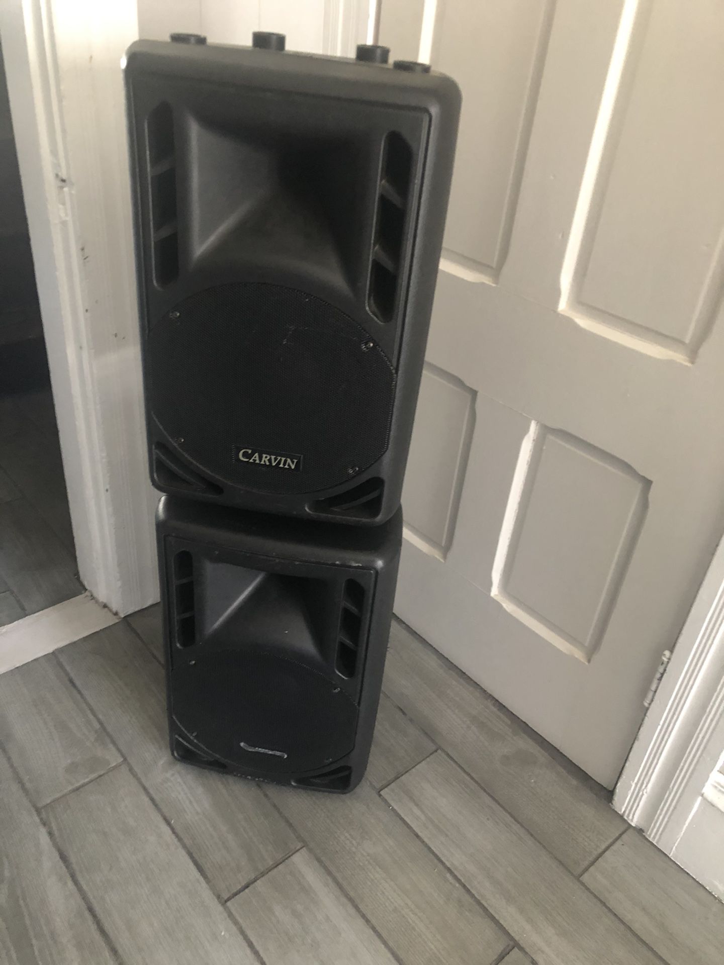 Carvin 10” speakers