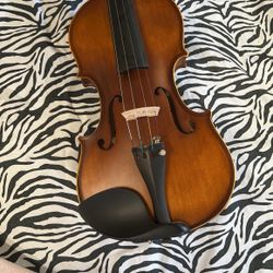 4/4 Violin With Case Bow Rosin Shoulder Rest