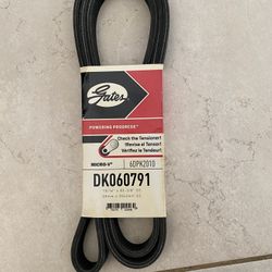 Serpentine Belt
