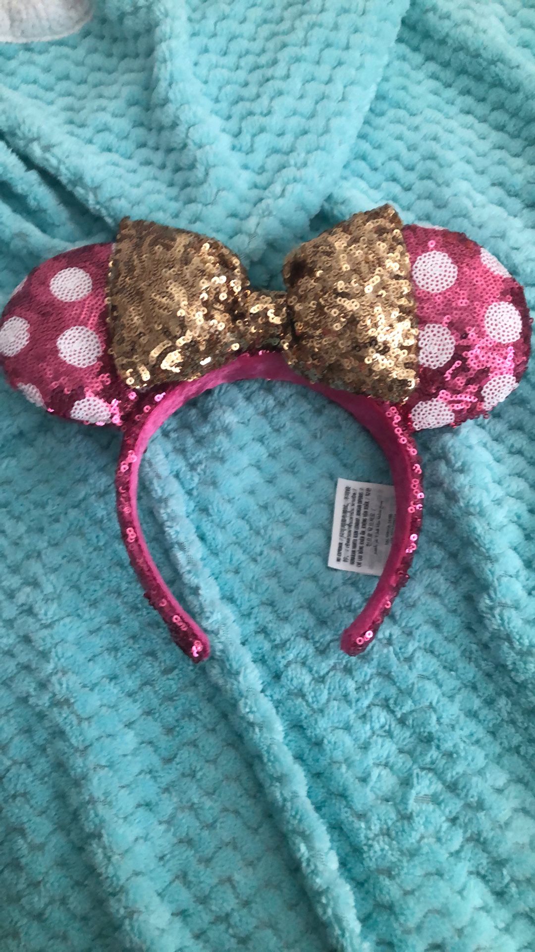 Disney Ears