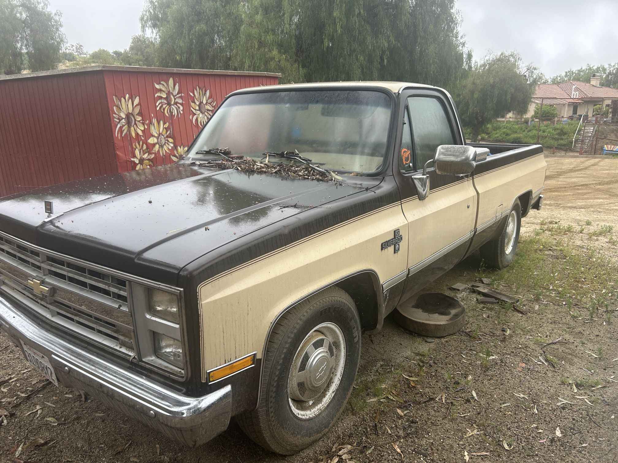 1986 Chevrolet C20