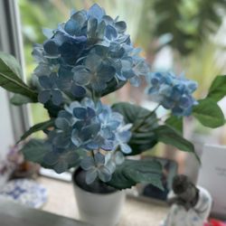 IKEA Potted Blue Hydrangeas 