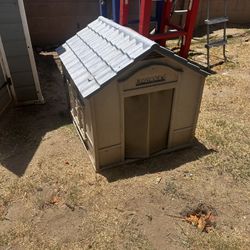 Dog House 