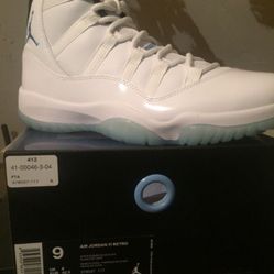 Size 9 Jordan Concords And Egg Plant Posits 