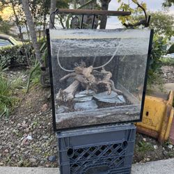 Inovative Marine Fusion 15 AIO Fish Tank