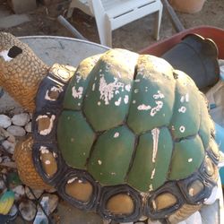 $5 Giant Turtle