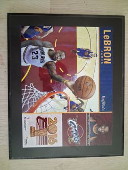 LeBron James 2016 Finals Frame