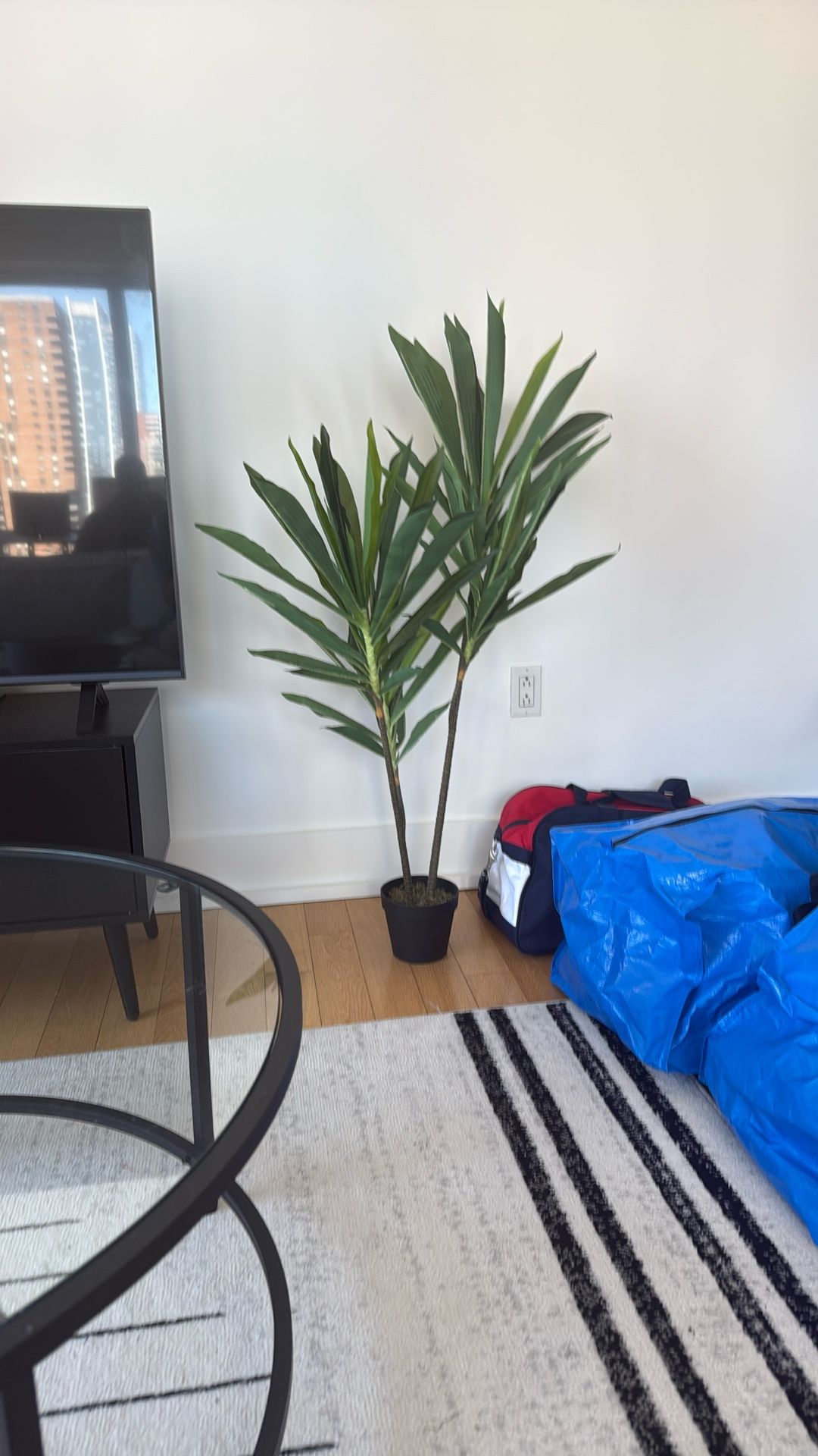 Fake Plant