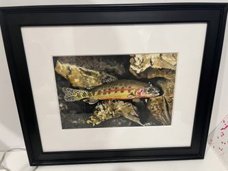 Art Ink On Paper Framed Allen brothers 