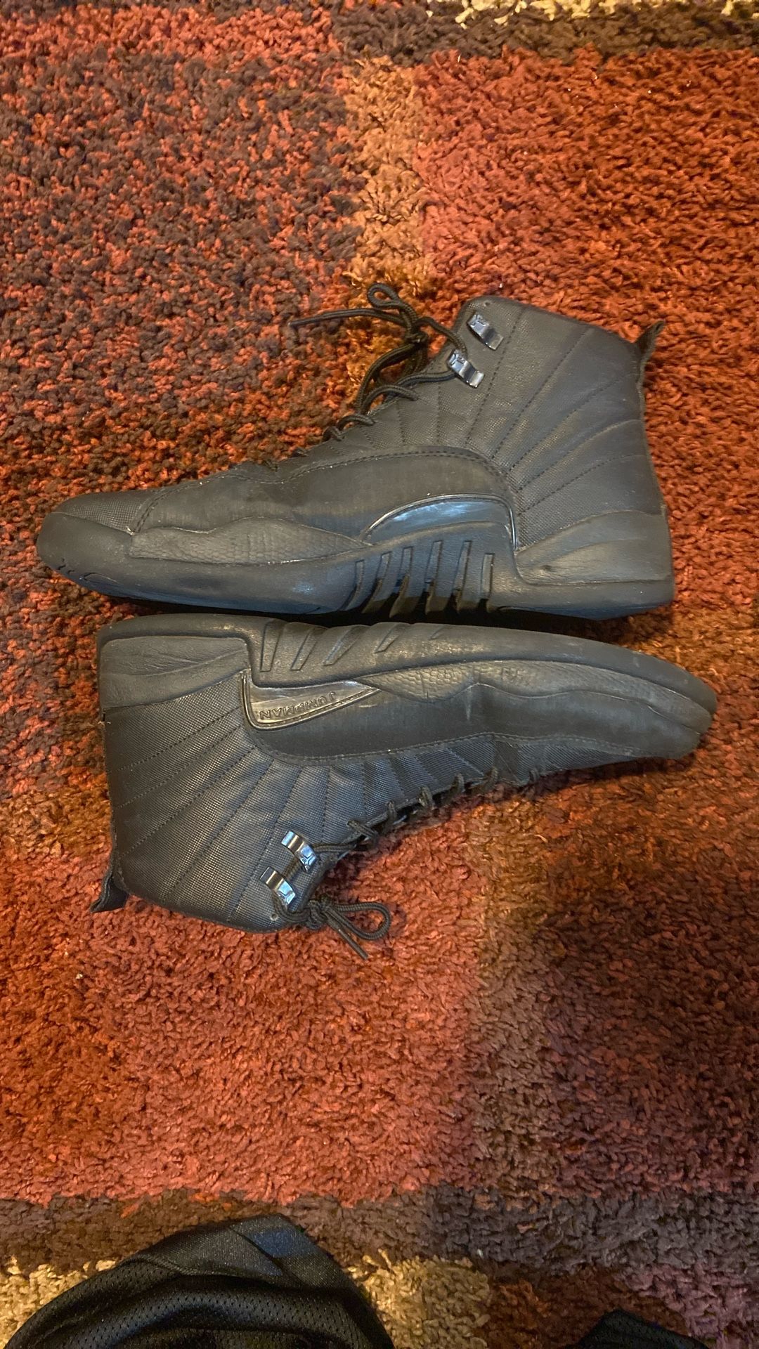 Jordan 12 WNTR (Local pickup)