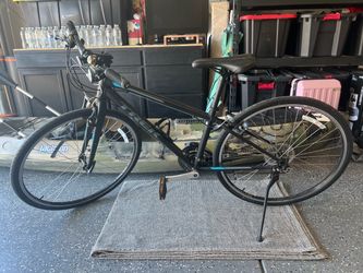 TREK FX 2