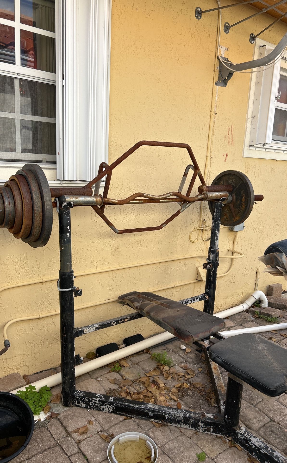Weight Olímpico