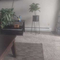 Brand New Plant With Stand 
