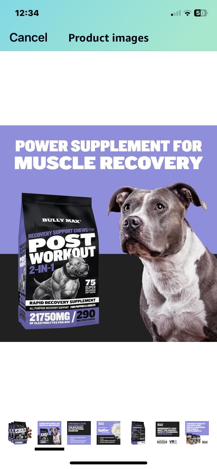 NEW BULLY MAX 2 IN 1 POST WORKOUT HYDRATION/ELECTROLYTE RECOVERY CHEWS