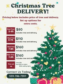 Christmas Tree Delivery