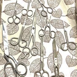 Vintage Various Scissors 