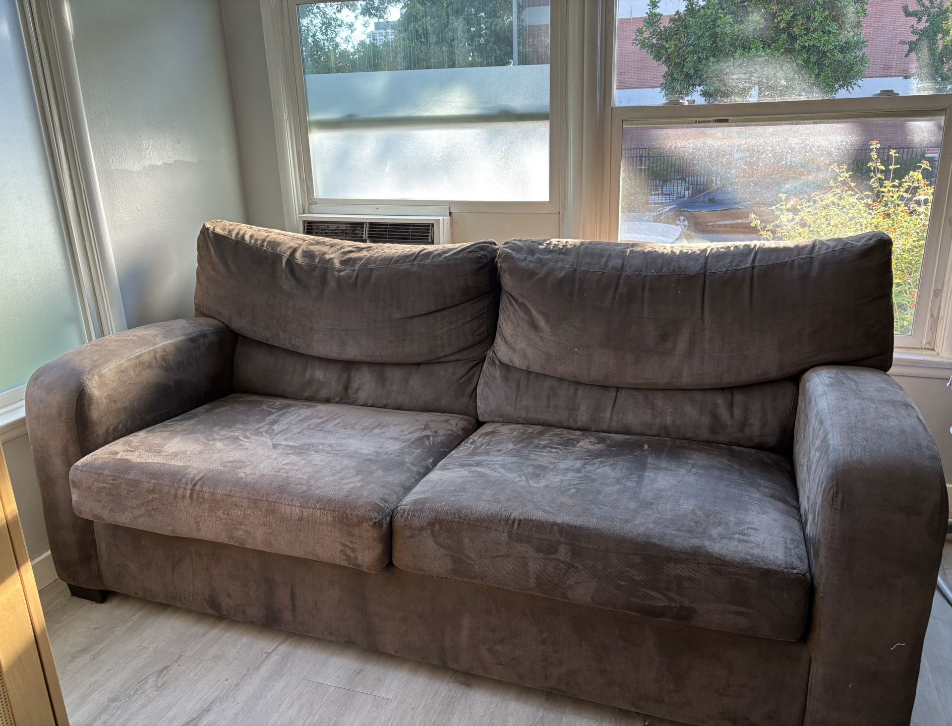 Sleeper Sofa From A Pet Free Home