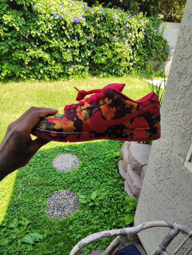 Selling Nike Dunks Wizard Of OZ 10.5