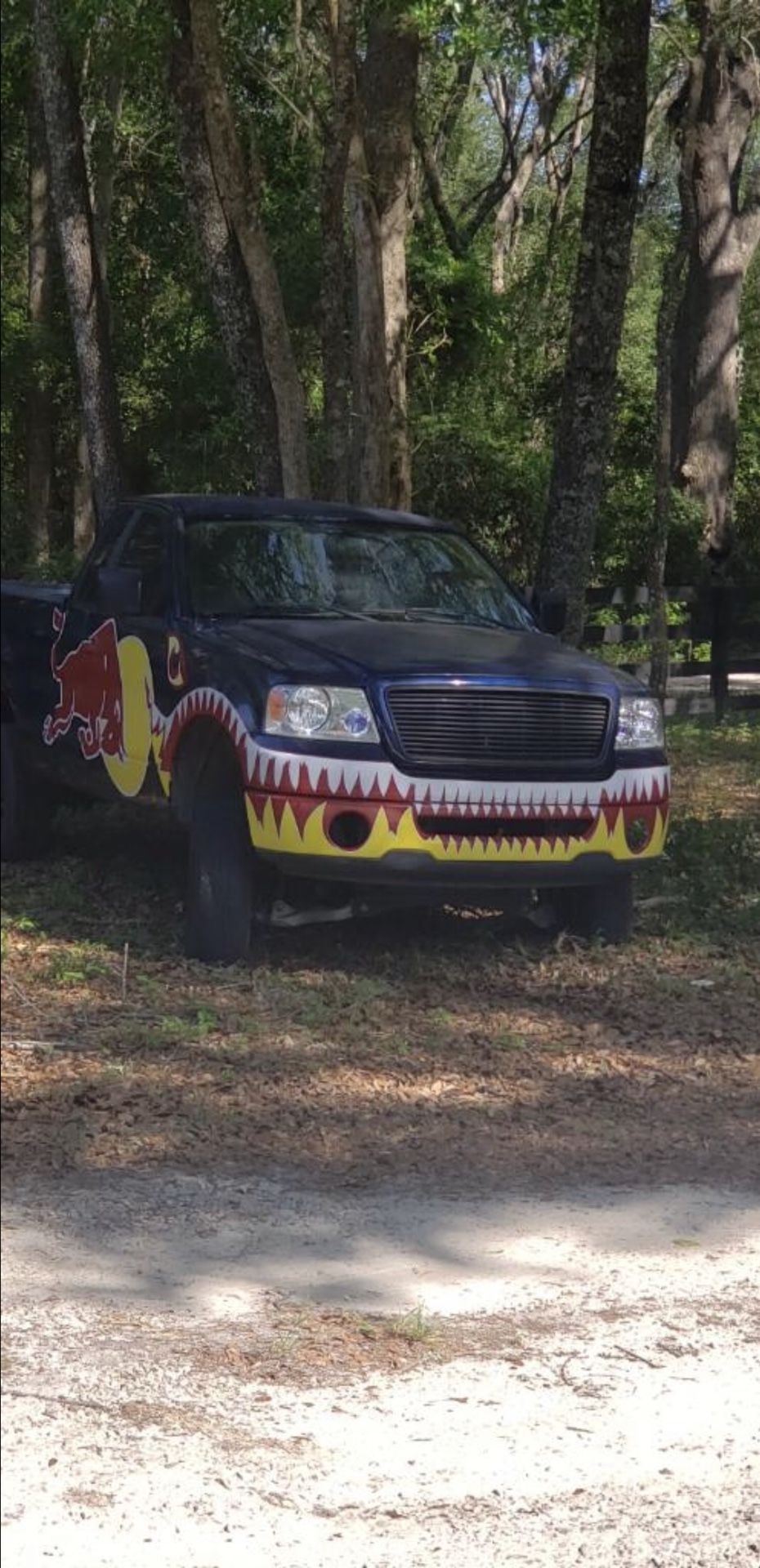 2007 Ford F-150