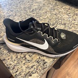 Mens Nike Pegasus 41