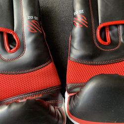 Boxing gloves