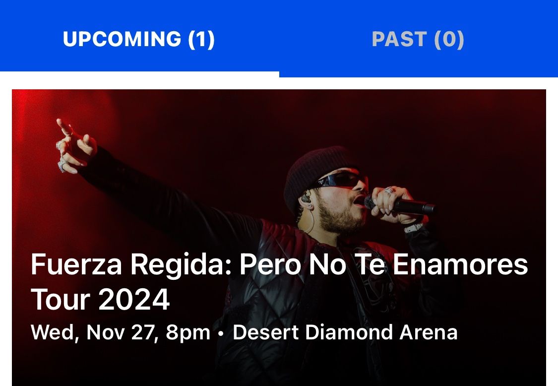 Fuerza Regida concert