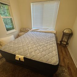 Full Mattress & Box Spring