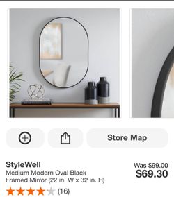 Modern Oval Black Framed Mirror 22” W x 32” H