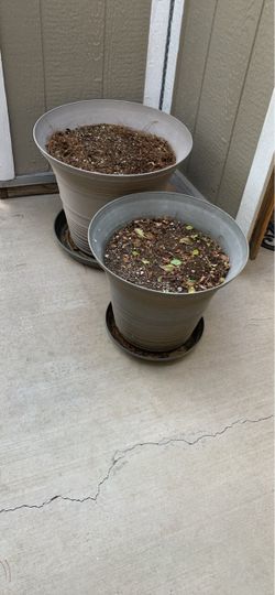 Two heavy duty, plastic, Flower Pots in good condition