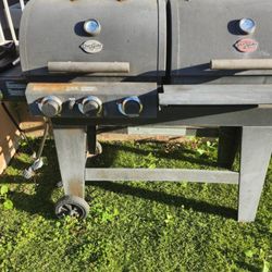 BBQ GRILL GAS AND CHARCOAL