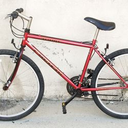 Pacific Strike mountain Bike