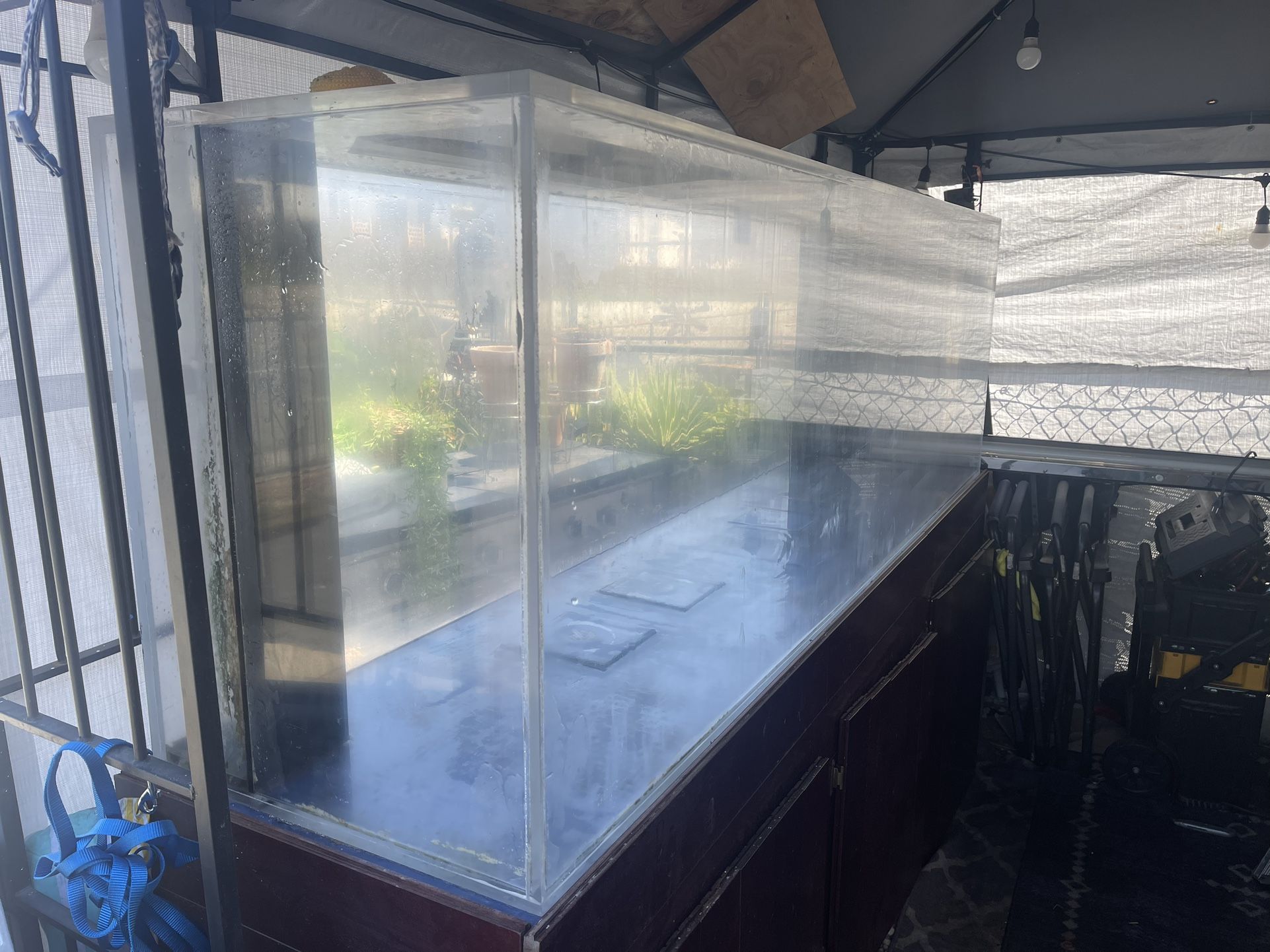 250 Gallon Aquarium 