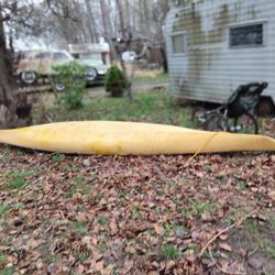 Kayak 