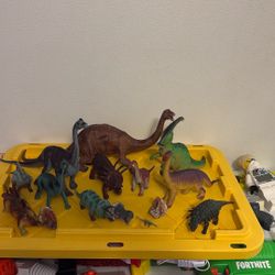 14 Dinosaurs !