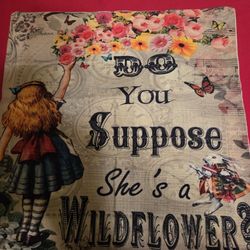 17" By 17" Alice In Wonderland Pillow Case 