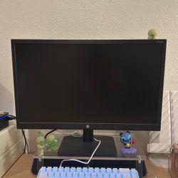 HP Monitor 