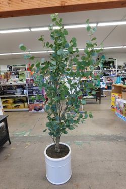 6.5′ Faux Indoor Decor Plant Eucalyptus Artificial Tree with Planter