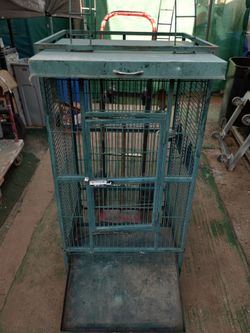 Bird Cage