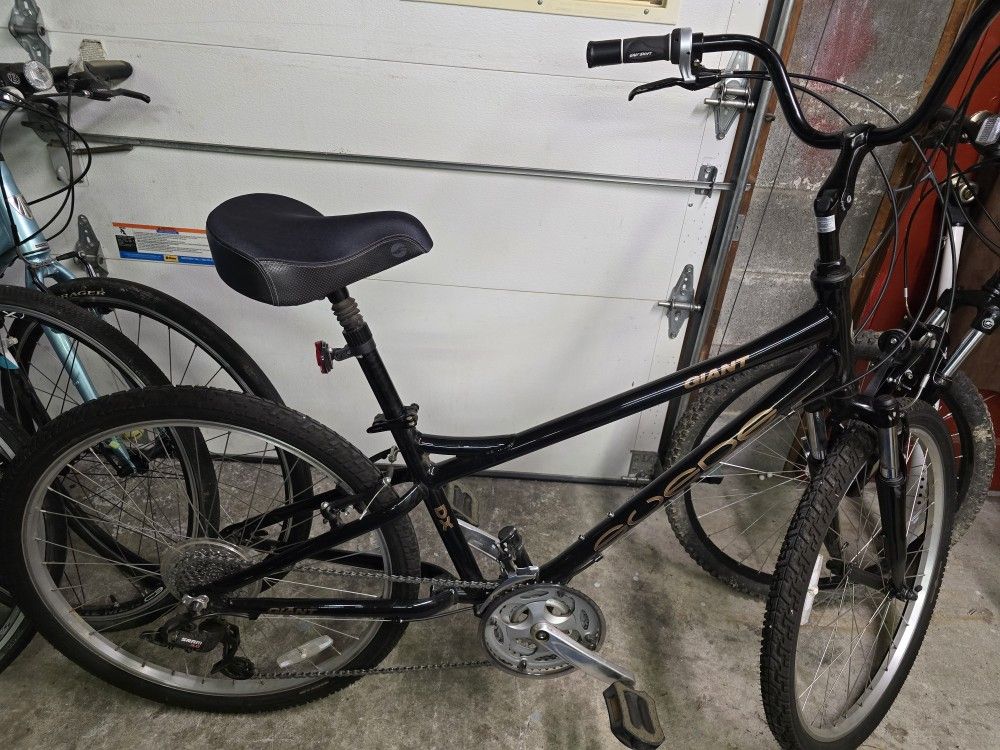 Giant Bike